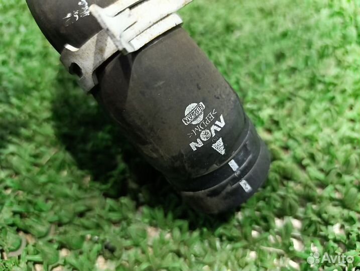 Патрубок радиатора нижний Nissan Pathfinder