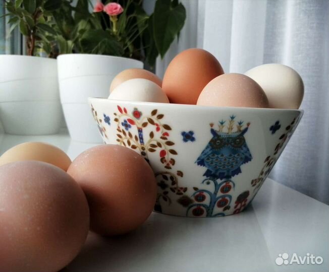 Лапша домашняя яичная. Сочни для бешбармака. цена