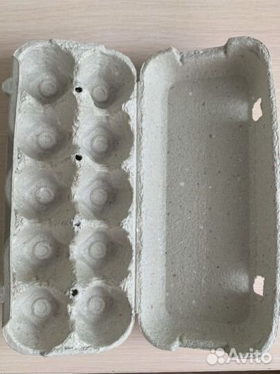 Лотки от яиц разлагаемые отдам бесплатно