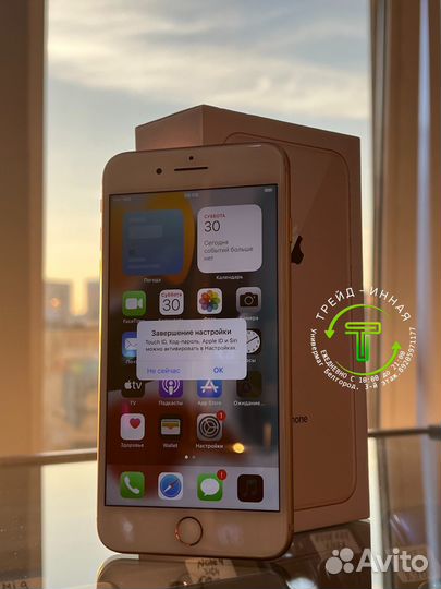 iPhone 8 Plus, 256 ГБ