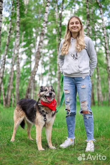 Добрый пес Пегас ищет дом