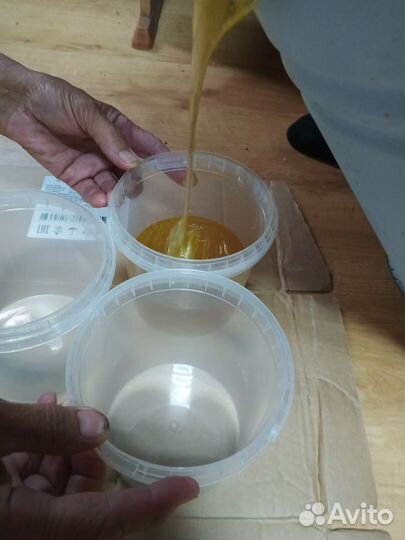 Свежий мёд август 2024