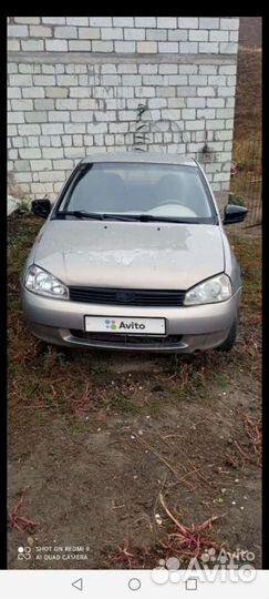 Разбор гранта калина