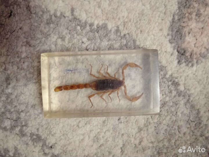 Насекомые в смоле(вроде как)