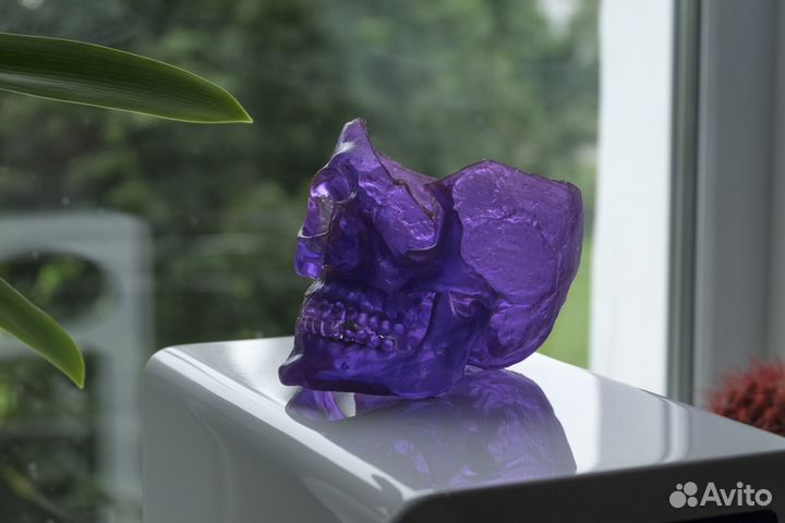 Череп человека