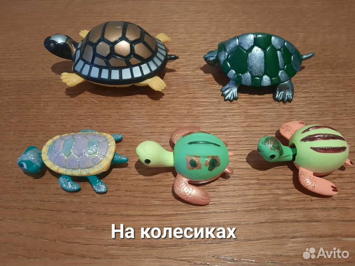 Коллекция черепах. Черепашка фигурка