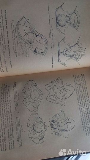 Учебник акушерства гинекология Бодяжина