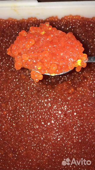 Красная икра