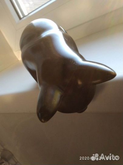 Кошка на столе