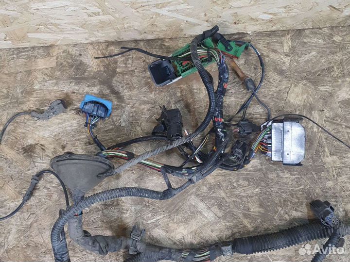 Проводка подкапотная форд фокус 2