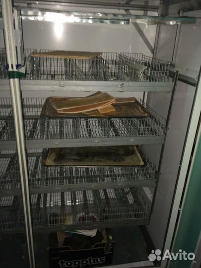Продаётся инкубатор, Рэмил, для инкубации Яйца