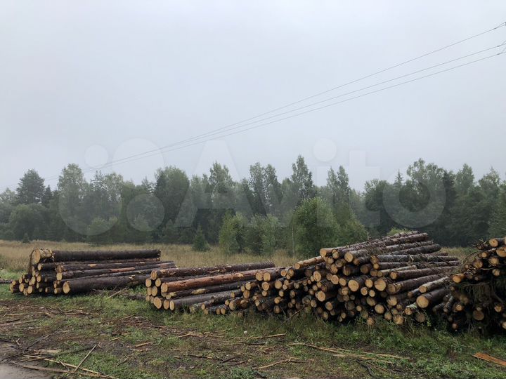 Участок 5 га (ИЖС)