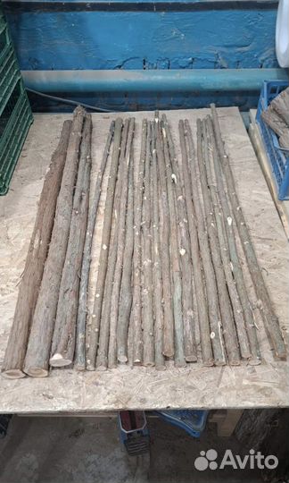 Можжевельник