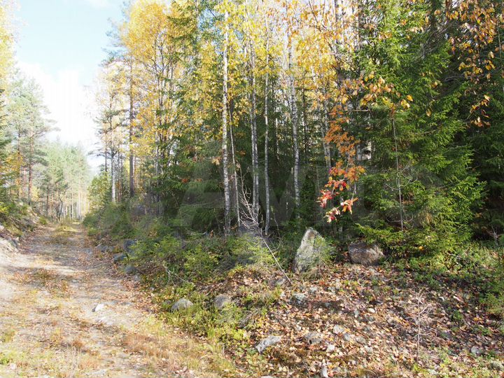 Участок 15 сот. (СНТ, ДНП)