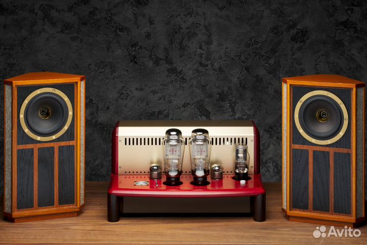 Tannoy Autograph Mini полочная акустика