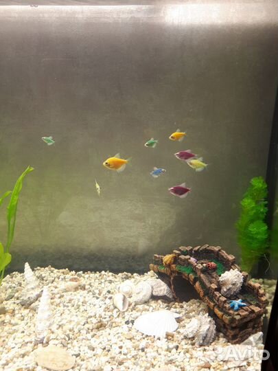 Декорации для аквариума