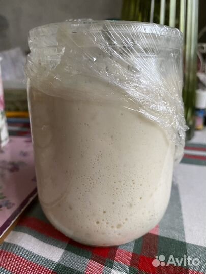 Закваска Левито Мандре