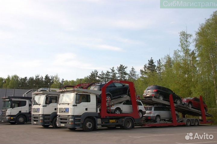 Грузоперевозки