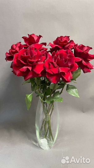 Цветы Розы Букет Роз доставка любимой 101 роза