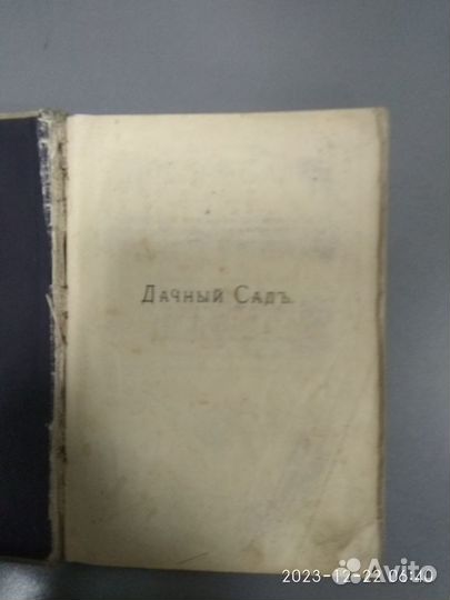 Дачный сад. П.И.Каменоградский. 1908 год