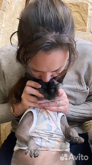 Зооняня.Посещение кошки/выгул собаки