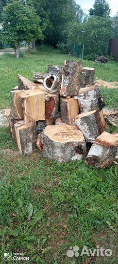 Дрова из березы