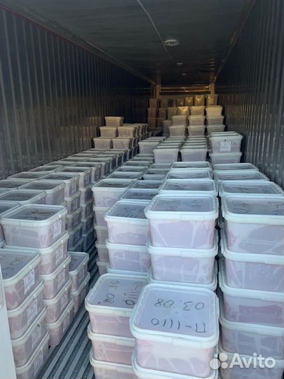 Красная икра оптом. Камчатка