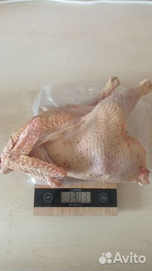 Мясо домашних птиц