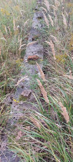 Участок 15 сот. (ИЖС)