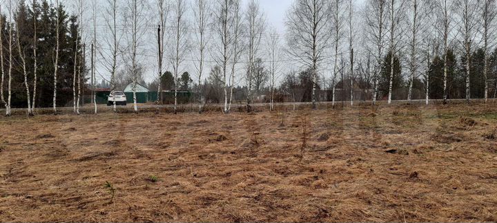 Участок 35 сот. (СНТ, ДНП)