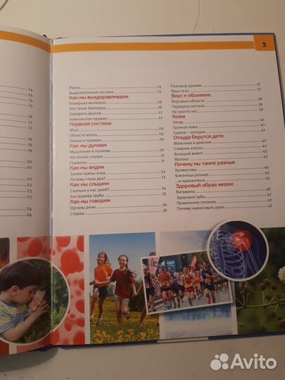 Энциклопедия Тело человека