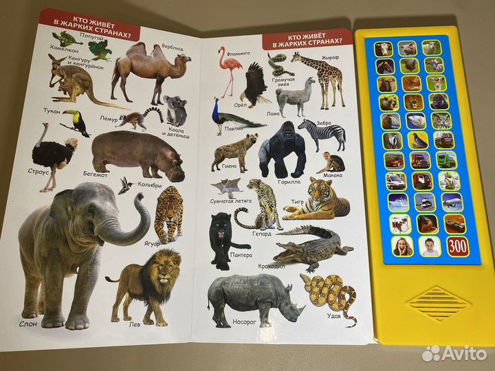 Музыкальная книжка-игрушка 300 голосов и звуков