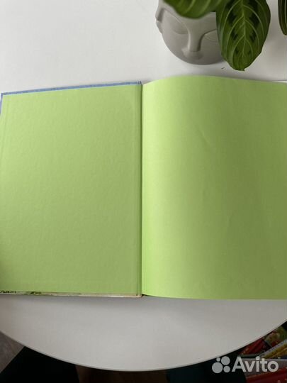 Ромашки в январе. Сказки. Михаил Пляцковский