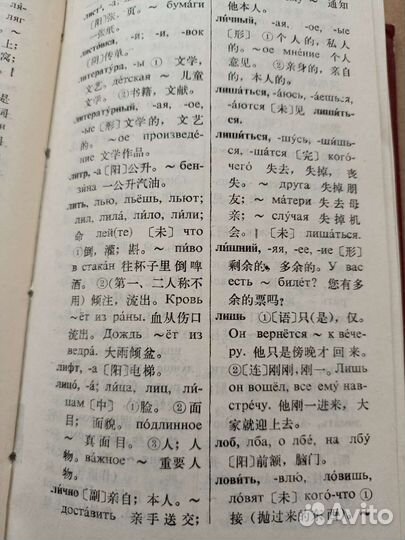 Китайско-русский/русско-кит словарь