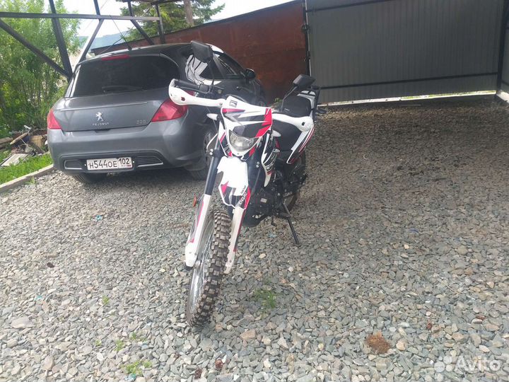 Рейсер пантера 250куб