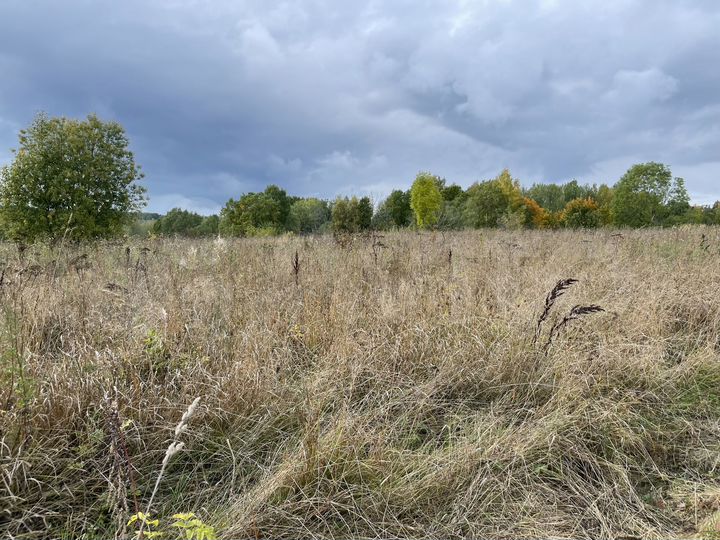 Участок 160 га (СНТ, ДНП)