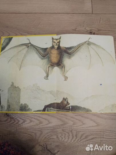 Энциклопедия 