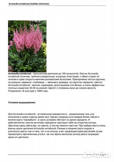 Многолетние растения