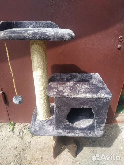 Когтеточки с домиками