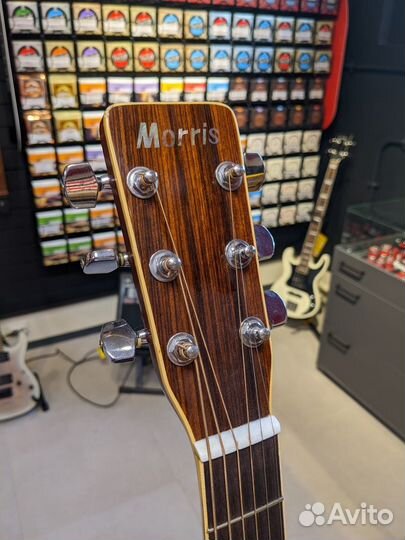 Morris MD-507 90's Korea акустическая гитара