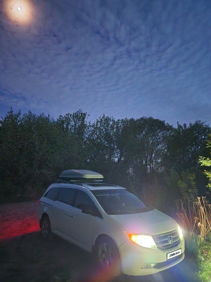 Honda Odyssey (North America): фото из отзыва