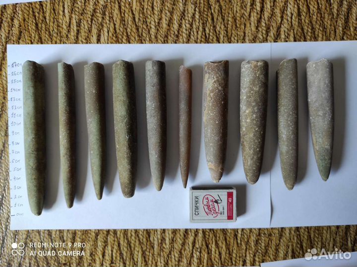 Белемниты коллекционные