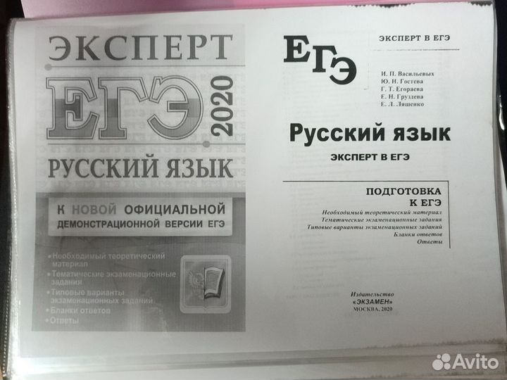 ЕГЭ русский язык эксперт