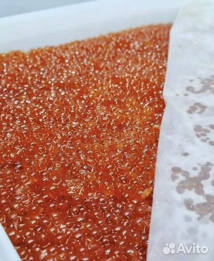 Красная икра