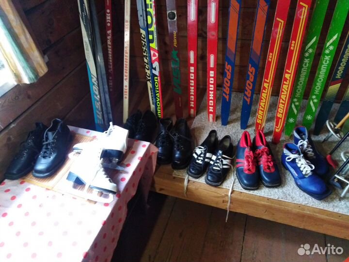 Беговые лыжи