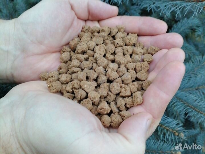 Корм для кошек