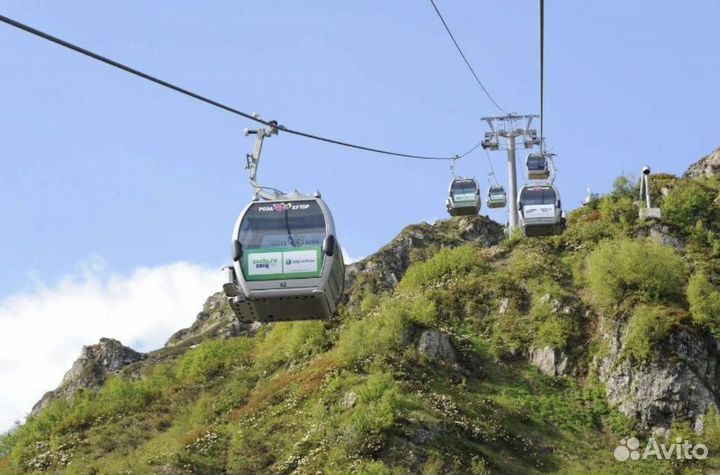 Роза хутор красная поляна