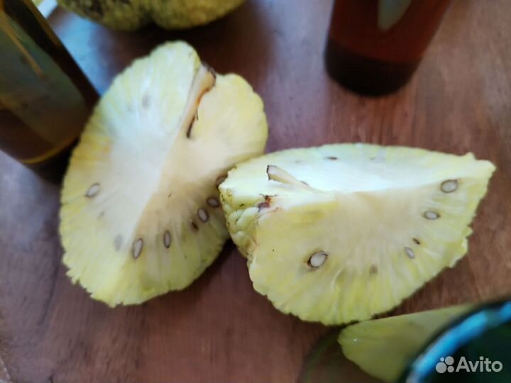 Мазь от лишая Маклюра