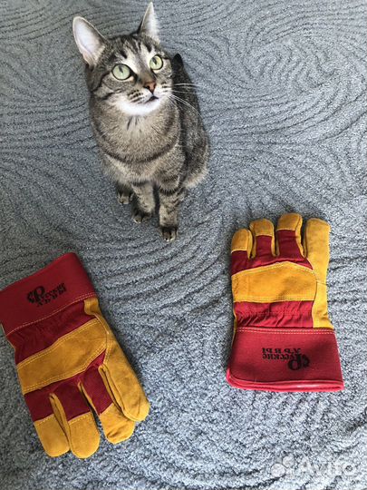 Перчатки, руковицы