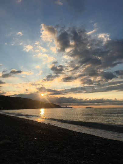 Комната 16 м², 1/2 эт.